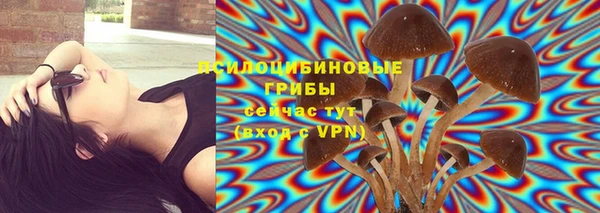 герыч Елабуга