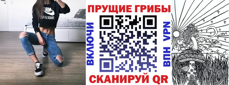 Купить где  Перевоз  Псилоцибиновые грибы Psilocybe 